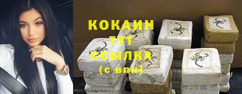 как найти закладки  Злынка  COCAIN Эквадор 