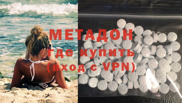 прущие грибы Новодвинск