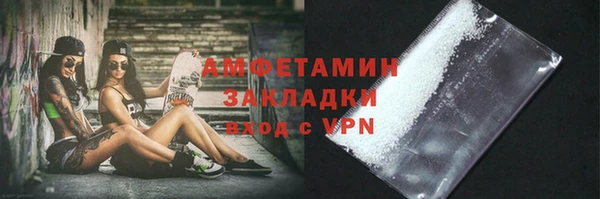 прущие грибы Новодвинск