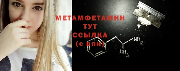 прущие грибы Новодвинск