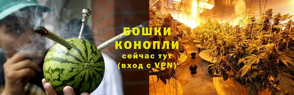 шишки Тихвин