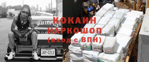 прущие грибы Новодвинск